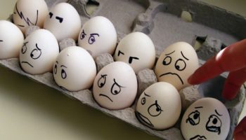 Срок годности яиц