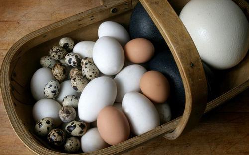 Срок годности яиц со скорлупой