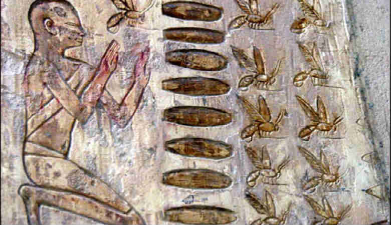 Мед в древнем Египте