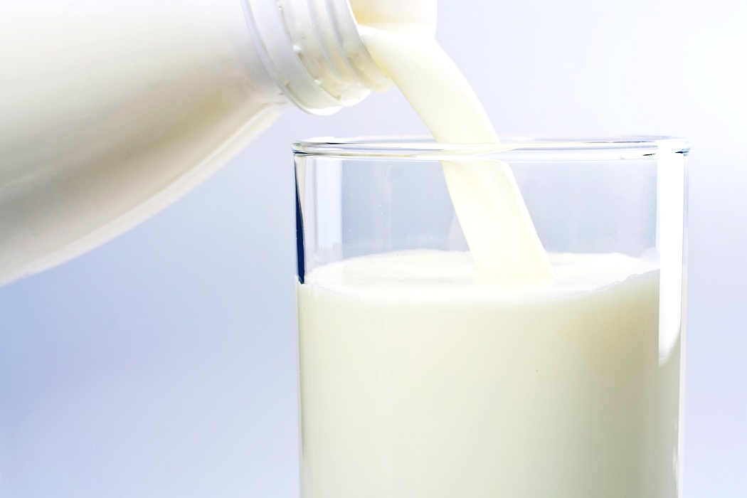 Сроки хранения молока