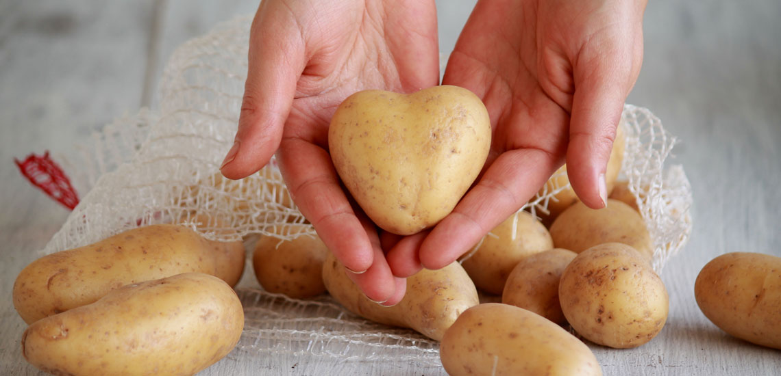 Срок хранения картофеля
