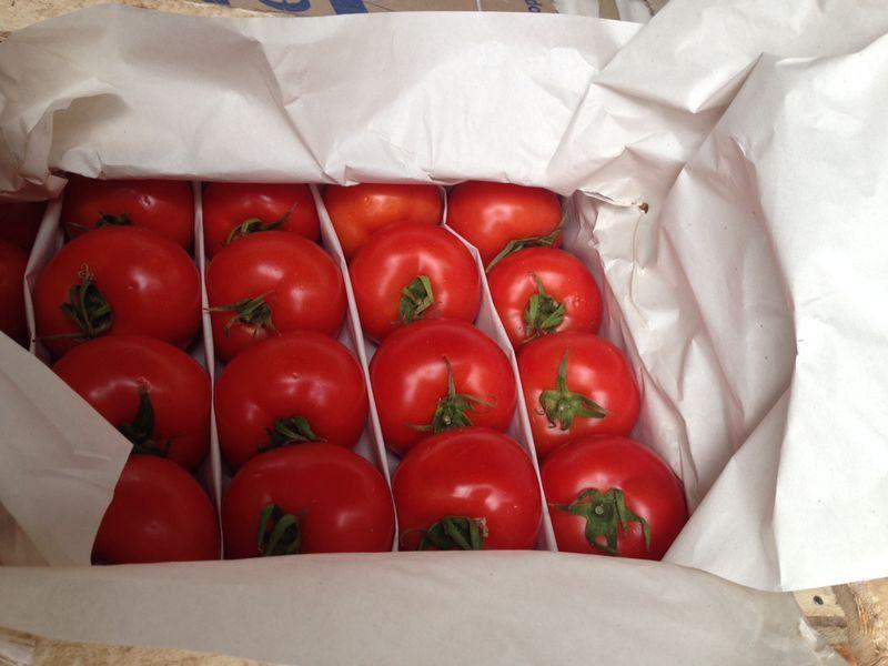 Сроки годности и условия хранения томатов (помидоров)