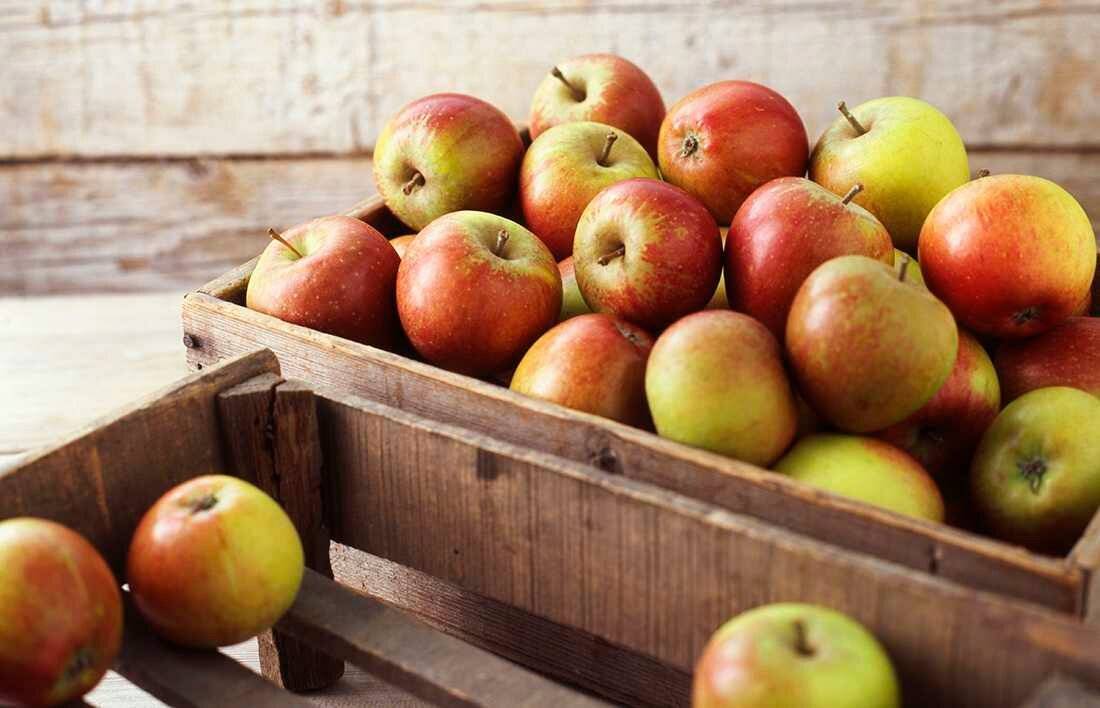 Как хранить яблоки