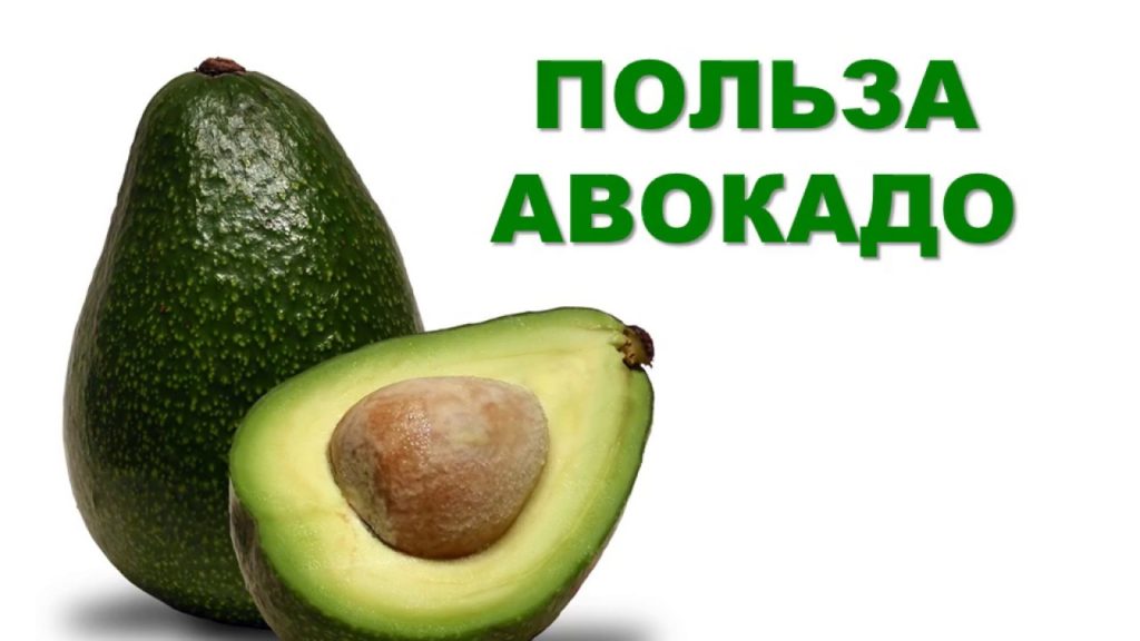 Срок годности авокадо и его полезные свойства