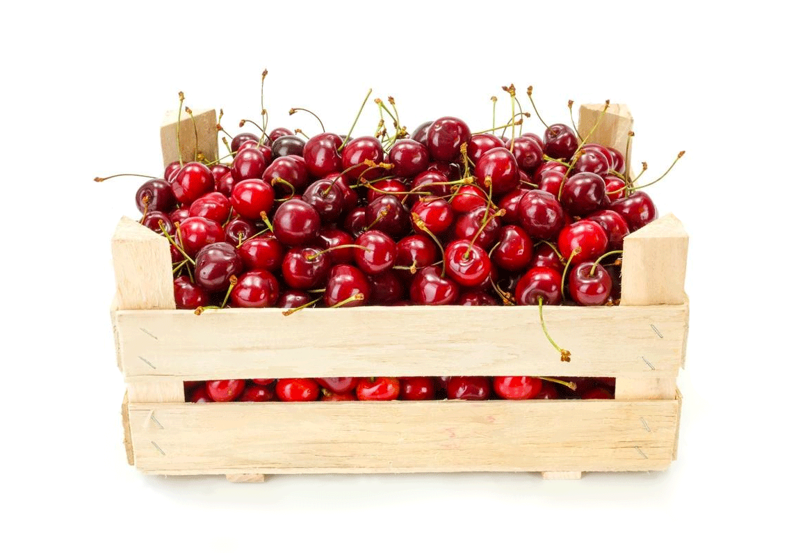 Срок годности вишни и ее полезные свойства