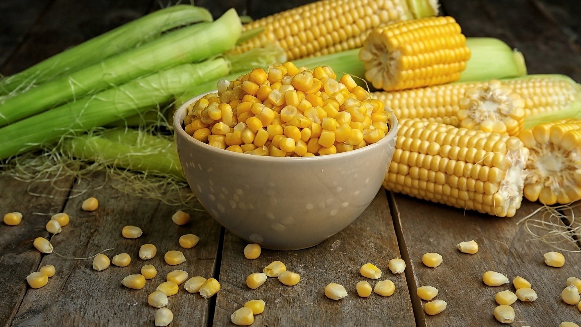 Полезные свойства кукурузы и ее срок годности